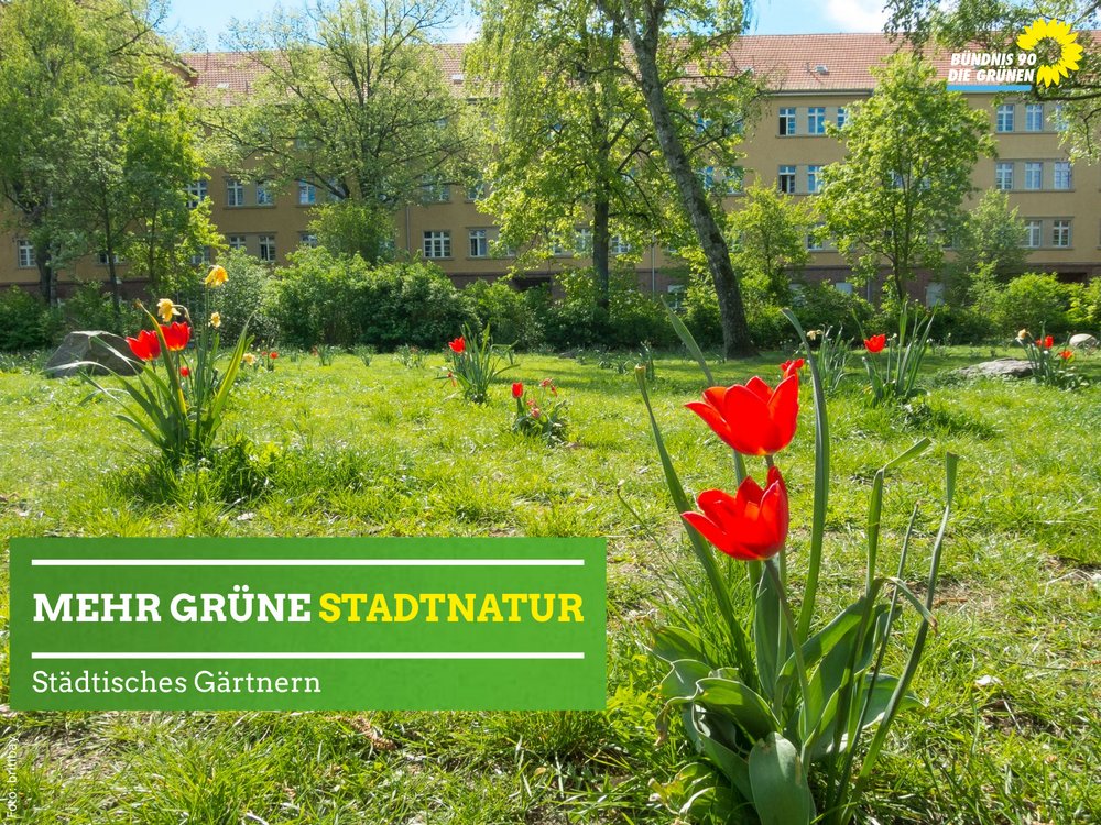 Mehr grüne Stadtnatur