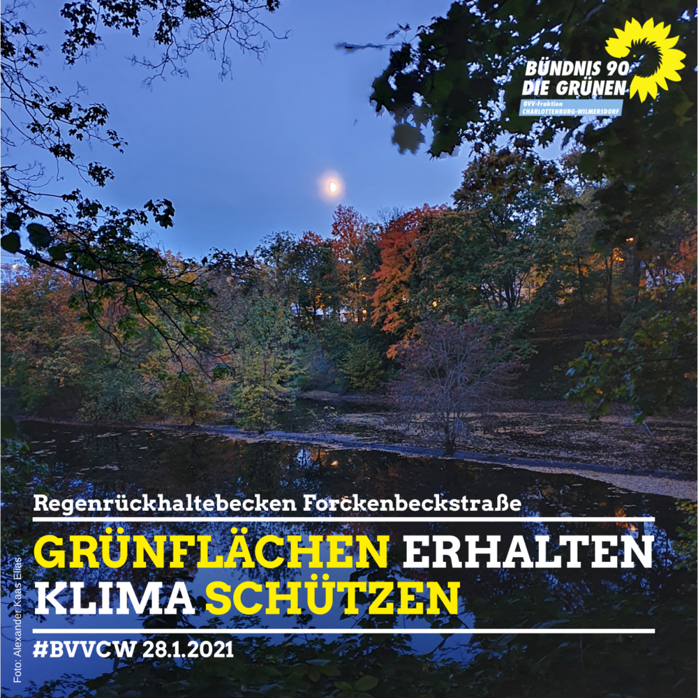 Regenrückhaltebecken Forckenbeckstraße: Grünflächen erhalten - Klima schützen