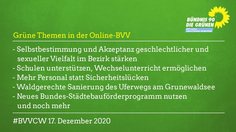 Grüne Themen in der ersten Online-BVV